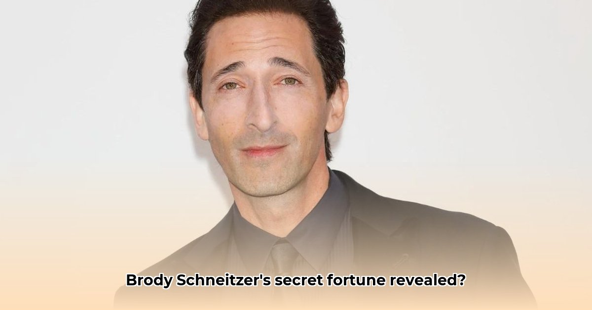 brody-schneitzer-net-worth